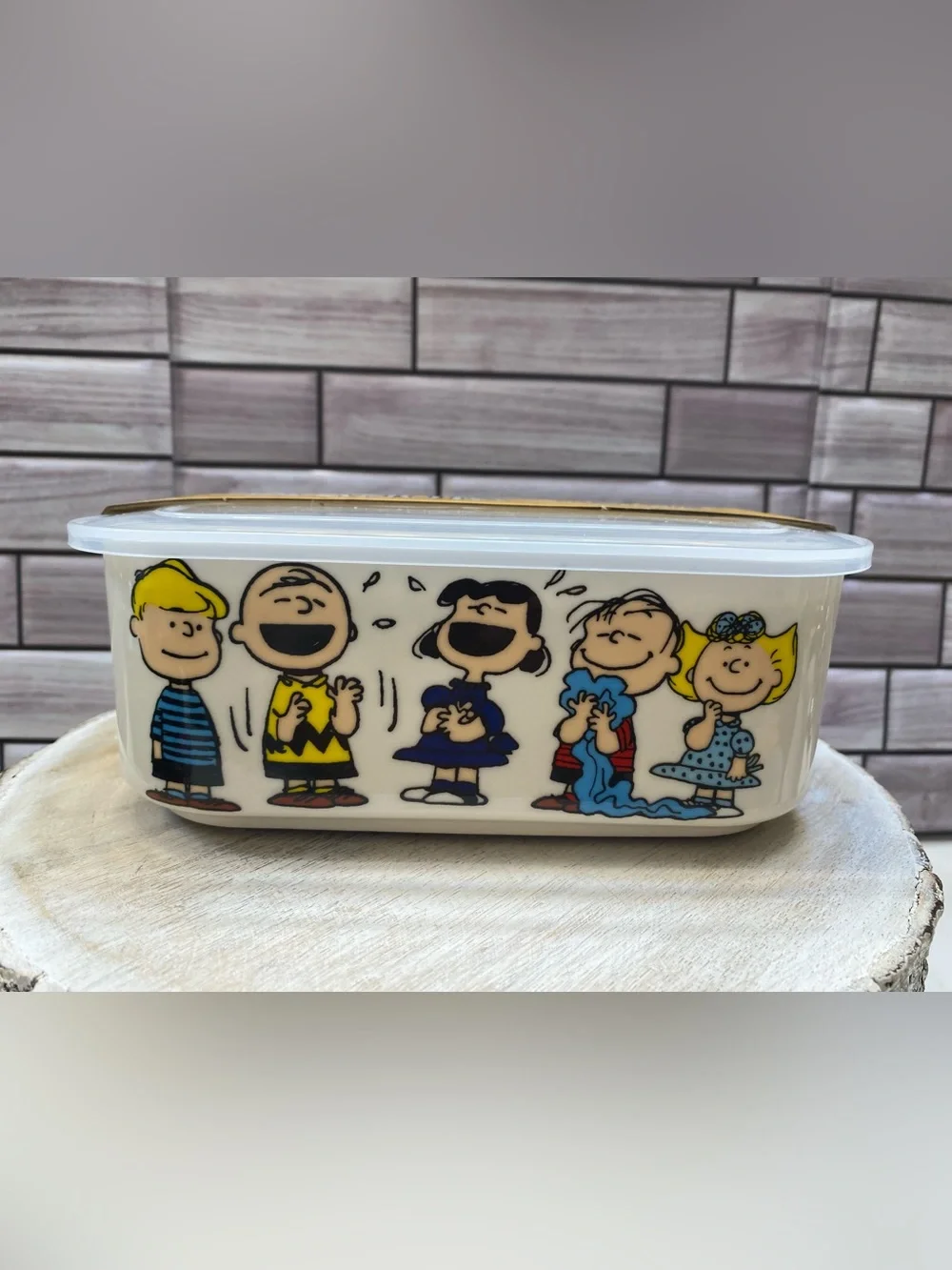 Peanuts Snoopy & The Gang  ❤️(2) CHOW TIME Lunch Box Storage & Lid NEW
